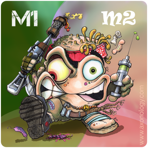 Macrophage activation